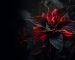 blog_skin_zinest_02-1200x800